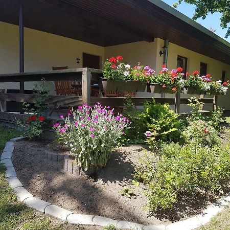 Ferienwohnanlage "Am Bernsteinsee" Leilighet Dierhagen Eksteriør bilde